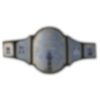 1986 Wrestling Championship Belt