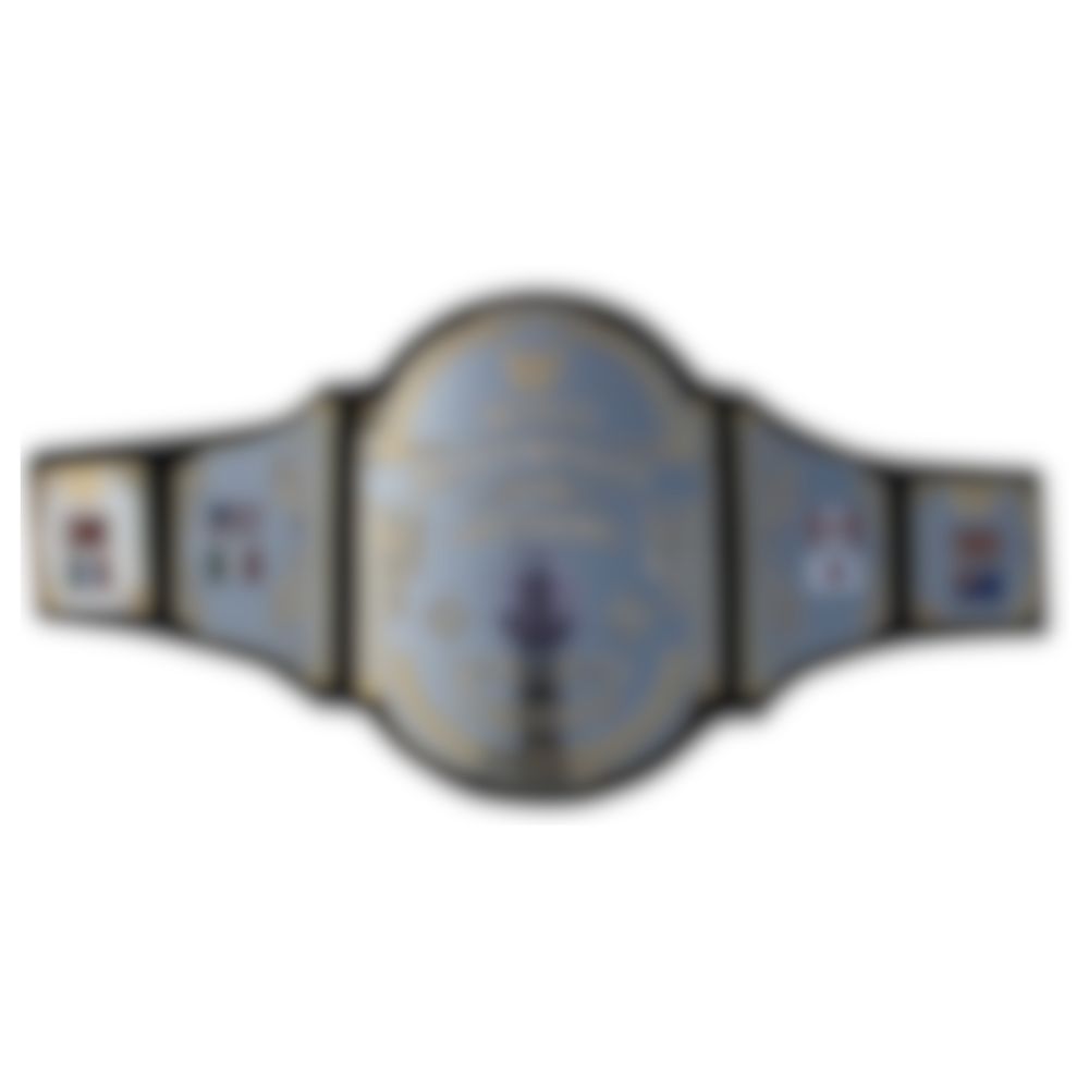 1986 Wrestling Championship Belt