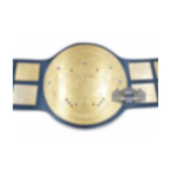 Big Green Wrestling Championship Belt