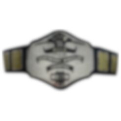 Custom 1985 Zinc Championship Title Belt
