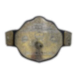 Custom Heavyweight Championship Gold Belt