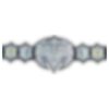 Custom Immortal Wrestling Championship Belt