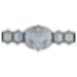 Custom Immortal Wrestling Championship Belt