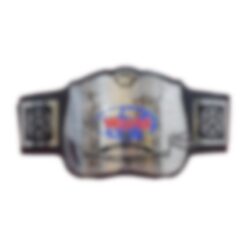 Custom Old Wrestling Dual Championship Belt