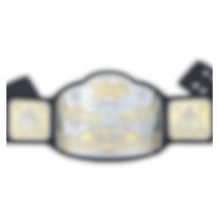 Custom Six-Man Wrestling Championship Belt