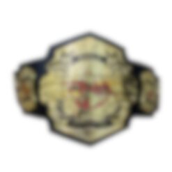 Custom Team World Wrestling Championship Belt 2024
