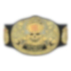 Custom Title Championship Black Leather Belt