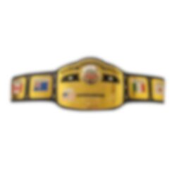 Custom National Wrestling Championship Belt