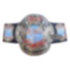 ECW Heavyweight Wrestling Championship Title Belt