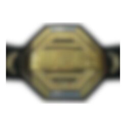 Fighting Championship Belt