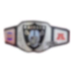 NFL Raiders Championship Belt