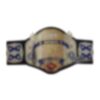 NWA National Championship Belt