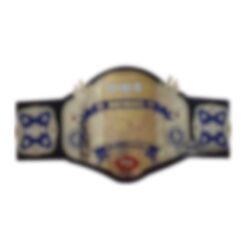 NWA National Championship Belt