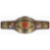 North American Championship Title Belt