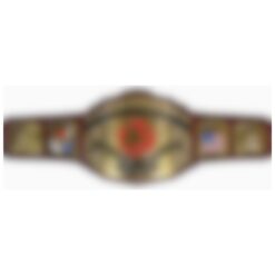 North American Championship Title Belt