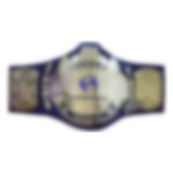Old Eagle Championship Belt