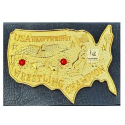 Old Era USA Heavyweight Championship Belt 1