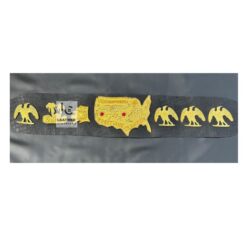 Old Era USA Heavyweight Championship Belt 9