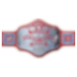 Red Television Championship Title Belt