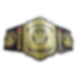 SMW Smoky Mountain Championship Belt