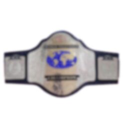 Television Wrestling Championship Belt