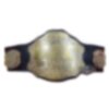 UFC Ultimate Fighting Championship Belt