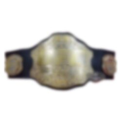 UFC Ultimate Fighting Championship Belt