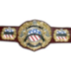 United States Championship Belt