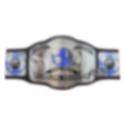 World Class Tag Team Championship Belt