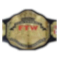 World Heavyweight Championship Belt