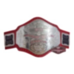 World Heavyweight Red Strap Wrestling Championship Belt