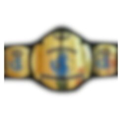 Custom World Heavyweight Wrestling Championship Belt