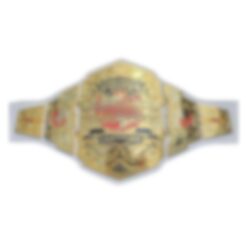 World Wrestling Championship White Leather Belt 2024