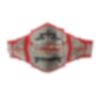 Team Wrestling Championship Red Leather Belt 2024