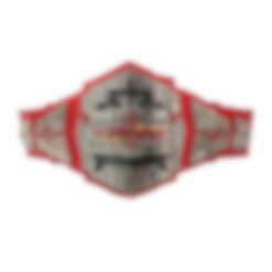 Team Wrestling Championship Red Leather Belt 2024