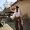 womens riding chaps