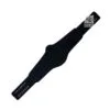Compatible Winged Eagle Championship Belt Strap CBS11