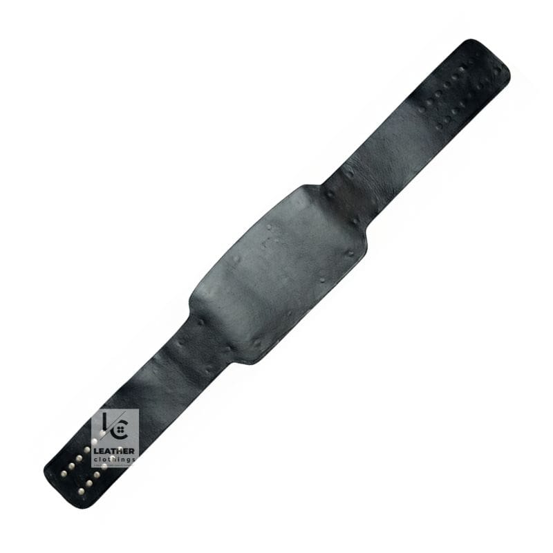 Compatible NWA Mid America Heavyweight Championship Belt Strap | CBS23