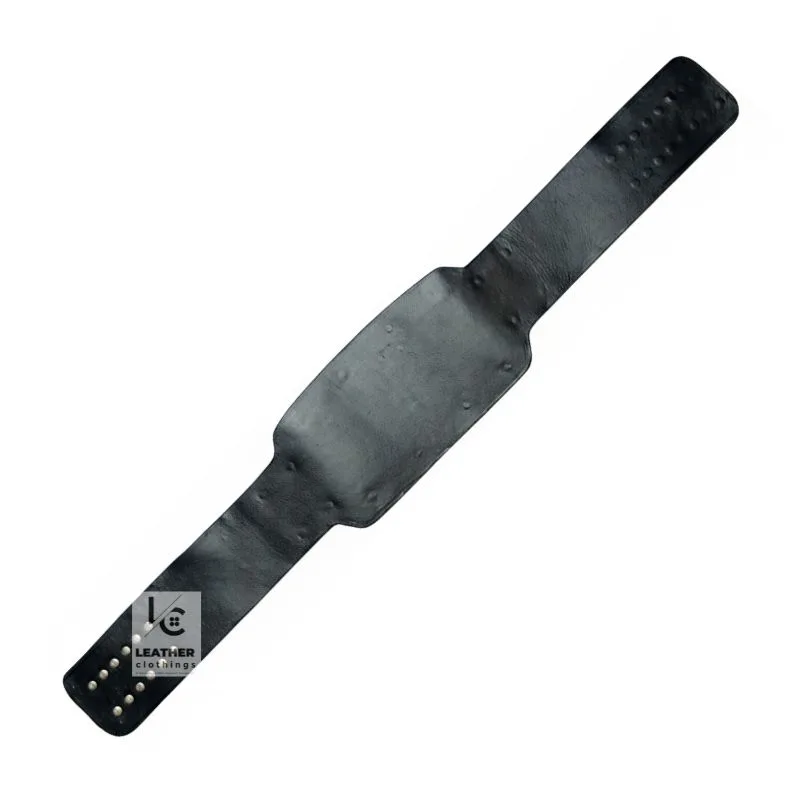 Compatible NWA Mid America Heavyweight Championship Belt Strap | CBS23