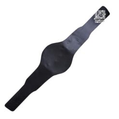 Compatible RAY'S ECW World MMA Champion Belt Strap | CBS48