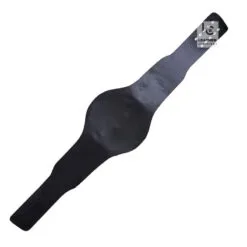 Compatible RAY'S ECW World MMA Champion Belt Strap | CBS48