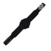 Compatible Strap For IWGP USA Championship Belt | CBS31