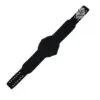 Compatible Strap For IWGP USA Championship Belt | CBS31