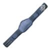 Compatible Strap For NWA Global World Heavyweight Championship Belt | CBS30