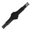 Compatible TNA Heavyweight Championship Belt Strap | CBS38