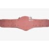 Replacement Strap For NWA National Championship Belt | CBS22