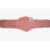 Replacement Strap For NWA National Championship Belt | CBS22
