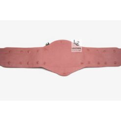 Replacement Strap For NWA National Championship Belt | CBS22