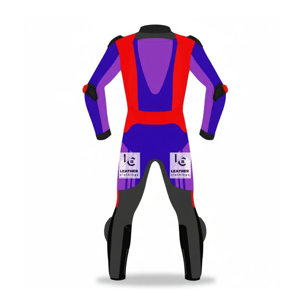 Custom Made MotoGP-Style Leather Race Suit MGS43