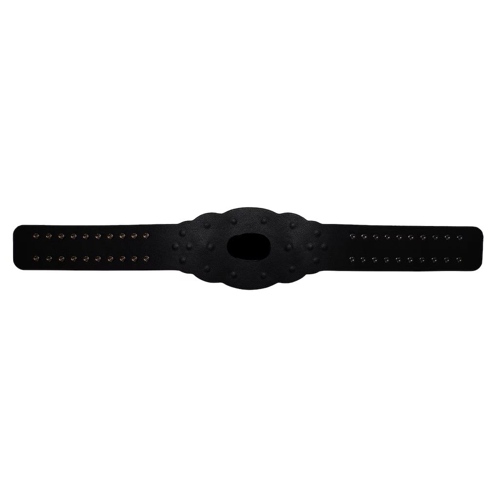 Compatible NXT Women's Championship 2014 Retro Replica Title Belt leather strap